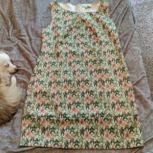 Rachel Antonoff Dissected Frog dress Sz L